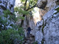 22  "Le Bestiaire" et ses rochers aux formes d'animaux (éléphants, ...)