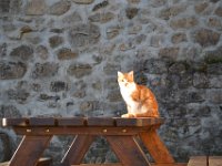 46  Réveil dimanche matin sous le soleil.