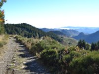 49  Un beau sentier nous emmène entre forêts et lisières.
