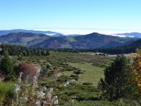 50  Au fond, les Alpes.