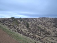 DSC 0601