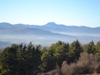 DSC 0665