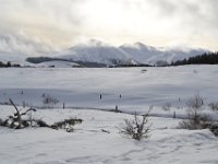3  On continue sur le sentier du Plateau dans une superbe ambiance hivernale, avec beaucoup de neige et une lumière rasante et tamisée digne du Grand Nord.