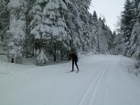 7  On se régale entre les sapins immaculés, dans un décor de grand Nord !
