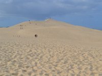 8  La Dune fait 2.9 km de long, une belle balade pour aller jusqu'au bout.