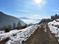 2  Le sentier suit la piste forestière de Faudon qui contourne le sommet du même nom. La vue sur les sommet sud côté Serre-Ponçon est superbe avec le soleil !