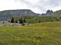 26  Une marmotte se cache sur la photo, saurez-vous la trouver :) ?