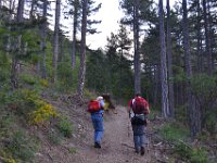 1  Départ dans les bois pour le sommet ... !