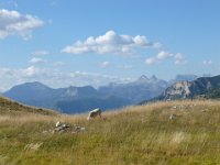 3  Les montagnes du Dévoluy au Nord. : 3