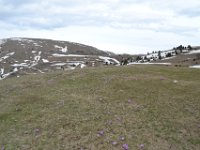 4  Le plateau de Céüse au mois de mai 2013, encore enneigé. : 4