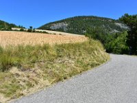 15  Le sentier débouche sur la route D53 qui mène au Mont Colombis.