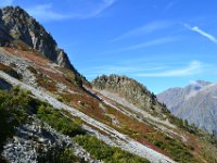 10  Vue sur le sentier au milieu des rhododendrons.