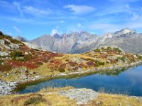 15  Le sentier au milieu des rhododendrons, contourne le premier lac.