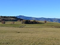 7  Sur un plateau, en approchant du Mont Gerbier de Jonc. Vue sur le Mont Mézenc en forme de "chapeau de cowboy".