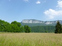 P1040511