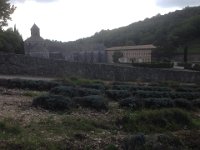 18  Monastère de type cistercien. Devant, des champs de lavande ; le paysage doit y être magnifique au mois de juin pendant la floraison ! : 18
