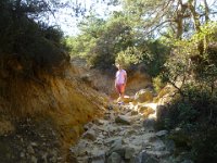 33  Un sentier agréable dans les pins au milieu des ocres : 33