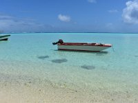 28  Des raies pastenague venues récupérer les restes de poisson rejetés à l'eau par Ari !